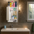 Parasnath Strong and Heavy Rich Look Bathroom Cabinet with Mirror (Made in India) - PARASNATH