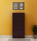 PARASNATH Coffee Colour Wall Shoe Rack 3 Shelves Shoes Stand - PARASNATH