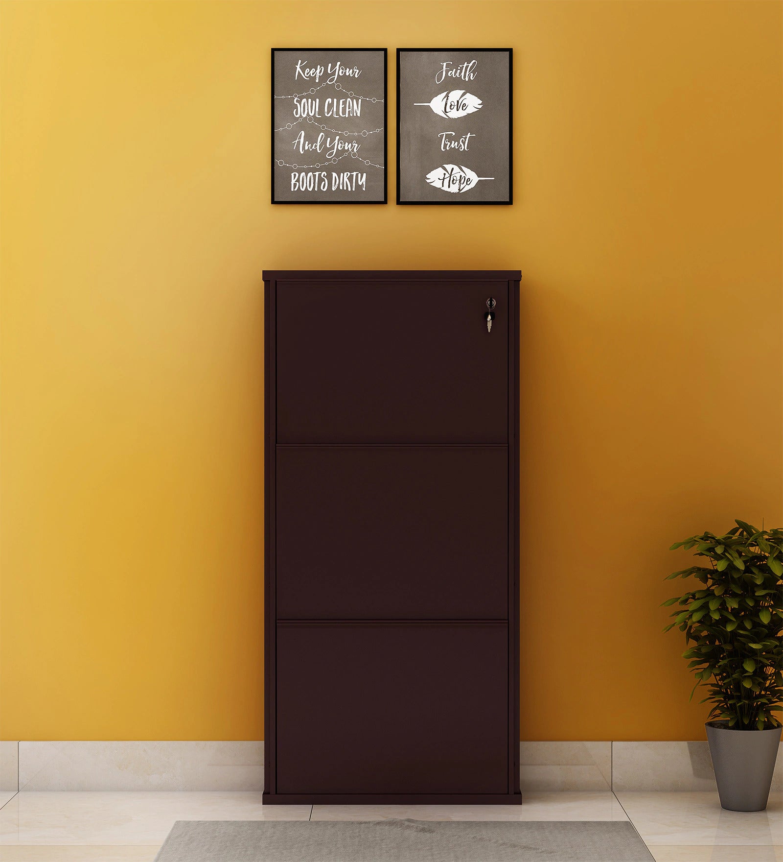 PARASNATH Coffee Colour Wall Shoe Rack 3 Shelves Shoes Stand - PARASNATH