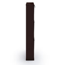 PARASNATH Coffee Colour Wall Shoe Rack 3 Shelves Shoes Stand - PARASNATH