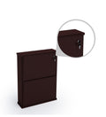 PARASNATH Coffee Colour Wall Shoe Rack 2 Shelves Shoes Stand - PARASNATH