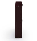PARASNATH Coffee Colour Wall Shoe Rack 2 Shelves Shoes Stand - PARASNATH